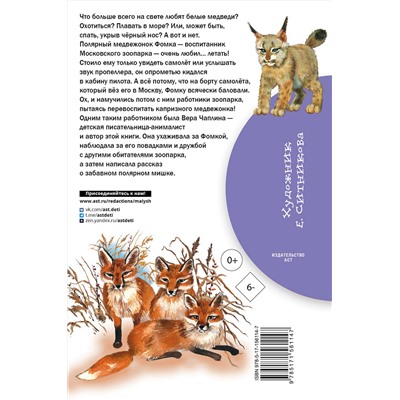 АСТ Чаплина В.В. "Фомка - белый медвежонок"