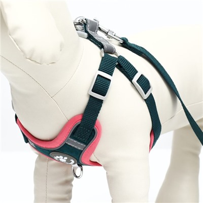Комплект Sport+, XS, поводок 120×1.5 см, ОШ 37-39 см, ОГ 41-46 см, розово - чёрный