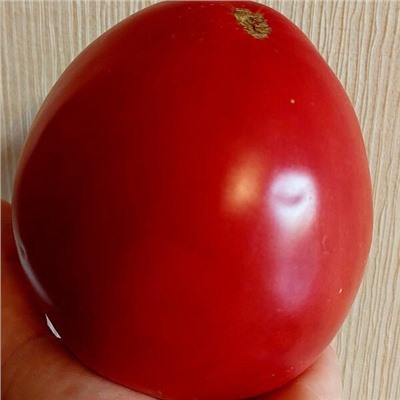 7056Т Томат Отец Горио 10шт