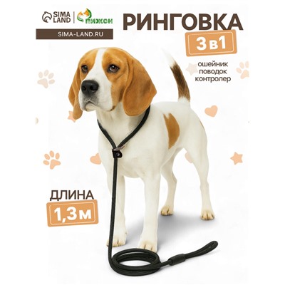 Ринговка для собак, 130×1 см, чёрная