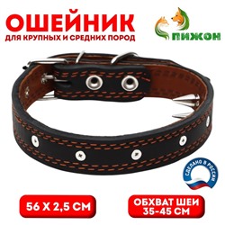 Ошейник кожаный «Строгий шип», 56×2.5 см, ОШ 35-45 см, чёрный