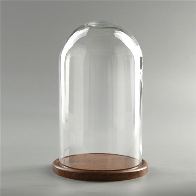 Стеклянный купол-клош на деревянной подставке «Венсан», 25×15 см, коричневый
