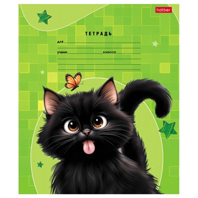 Тетрадь  18л линия "Черный котик" (091440) Хатбер