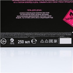 Новогодний подарочный набор косметики «Чистой кисе», гель для душа 250 мл и ежедневник, 18+, Чистое счастье