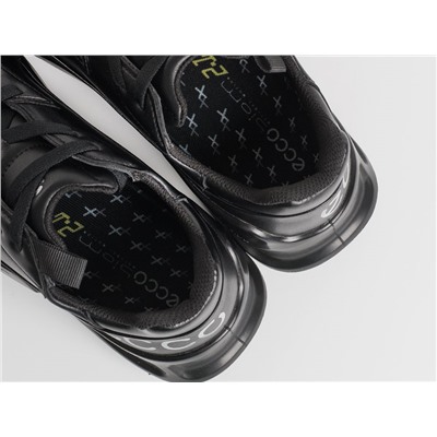 Кроссовки ECCO BIOM 2.1 X MOUNTAIN