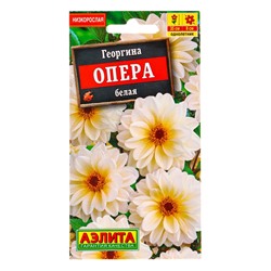 Семена цветов Георгина Опера белая , Ц/П,7 шт.