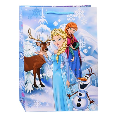 Пакет подарочный глянцевый ML, 22*31*10 см.