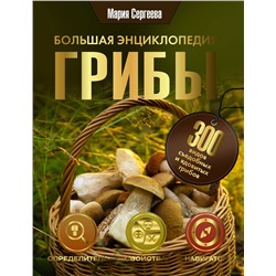 АСТ Мария Сергеева "Грибы. Большая энциклопедия"