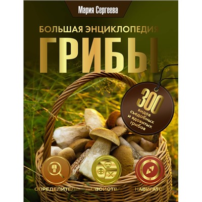 АСТ Мария Сергеева "Грибы. Большая энциклопедия"
