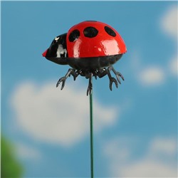 Штекер садовый «Божья коровка дайтон», 6×5 см, h=30 см, белый, Greengo