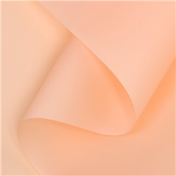 Пленка для цветов, матовая, пастельный, 0.58×10 м