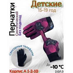 Перчатки детские сенсорные 1820651-1