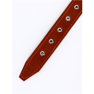 Ошейник комбинированный безразмерный, кожа/брезент, 65×3.5 см, ОШ 31-61 см, коричневый