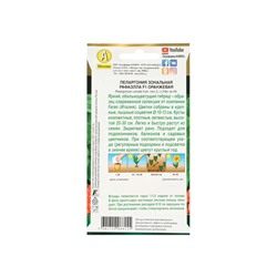 Семена цветов Пеларгония "Рафаэлла", оранжевая, F1, 5 шт