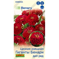 2032A Цинния Гиганты Бенари дип ред 7шт