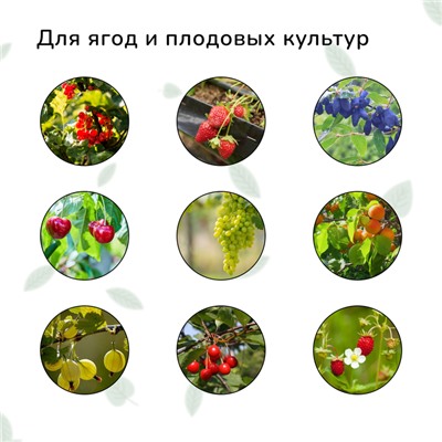 Сетка садовая, мягкая, 10×2 м, ячейка 8×8 мм, от птиц, Greengo