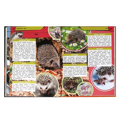 Животные леса. Энциклопедия.