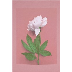 Футболка АПРЕЛЬ, 970657