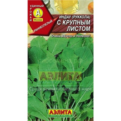 Индау (рукола) с крупным листом (Аэлита)