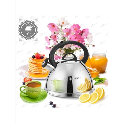 ZEIDAN Чайник Z-4497