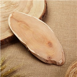 Подставка под горячее «Обычная, слэб», 8×20 см, можжевельник