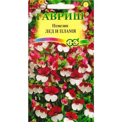 Немезия Лед и пламя (Код: 82715)