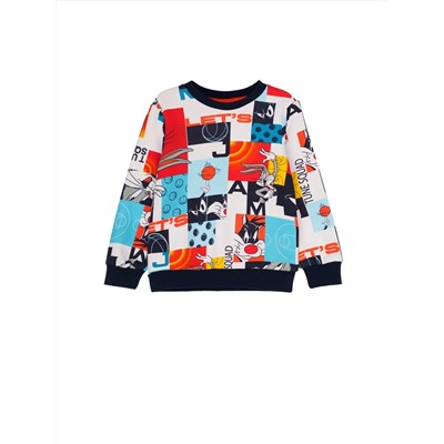 PLAYTODAY Толстовка 12532006