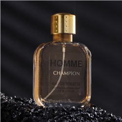 Туалетная вода мужская Homme Champion, 100 мл (по мотивам 1 Million (P.Rabanne)
