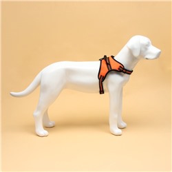 Шлейка улучшенная К7 мягкая светоотражающая, размер L, ОГ 64-86 см, вес 18-27.5 кг, оранжевая