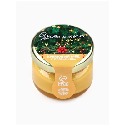 Мёд кремовый «Уюта и тепла в доме», с апельсином, 30 г