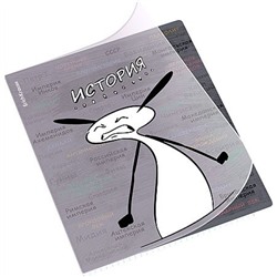 Тетрадь 48л с пластиковой обложкой "Чубрик" по истории 59476 ErichKrause