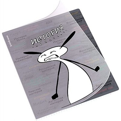 Тетрадь 48л с пластиковой обложкой "Чубрик" по истории 59476 ErichKrause