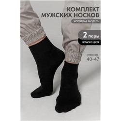 Носки мужские Универсал (набор 2 пары) (Черный)
