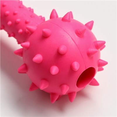 Игрушка жевательная «Грозная гантель», 15×5 см, розовая