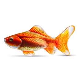Золотая рыбка