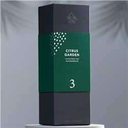 Диффузор ароматический "Premium", 100 мл, цитрусовый сад