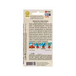 Набор семян Гипоэстес "Пинк Полка",  5 шт.