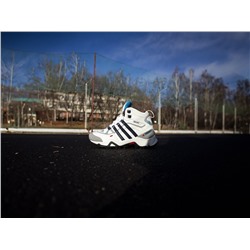 Зимние Ботинки Adidas Terrex Winter