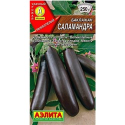 Баклажан Саламандра Аэлита