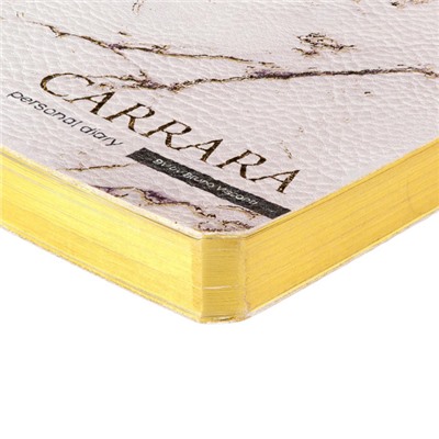 Ежедневник недатированный А6+ ЛАЙТ "Carrara" 3-742/12 Bruno Visconti