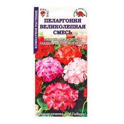 Семена комнатных цветов Пеларгония «Великолепная», смесь, 3 шт., «Золотая Сотка Алтая»