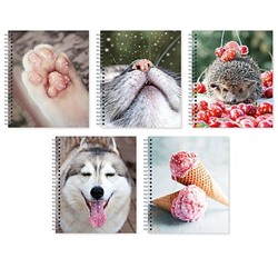 Тетрадь  48л клетка на спирали "Блестящие и милые" ТСБ488818 Listoff