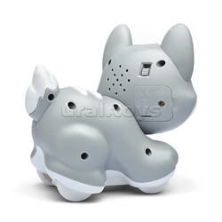 Собака "Красивая хаски" в коробке