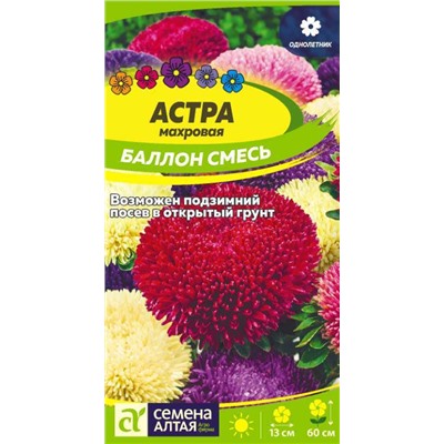Астра Баллон Разноцветный Сем.Алтая