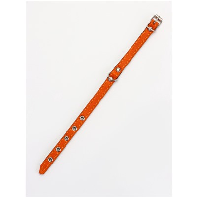 Ошейник, 30.5×1.2 см, ОШ 20-27 см, однослойный, неукрашенный, на фетре, кожа, оранжевый