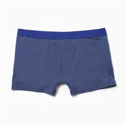 Трусы мужские боксеры, цвет синий, размер 50