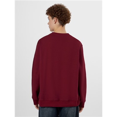 СВИТШОТ МУЖСКОЙ 121939