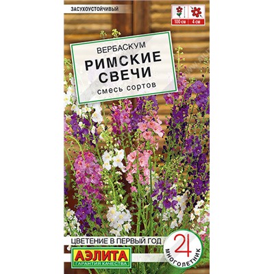 Вербаскум Римские Свечи Аэлита
