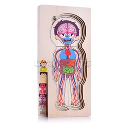 Пазл-вкладыш "Мальчик