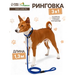 Ринговка для собак, 130×0.8 см, синяя